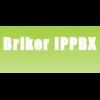 Briker 1.0.2 "OWP" (1 CD)