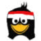 <b>OSS - Indo</b>